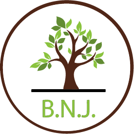 BNJ Health Services logo