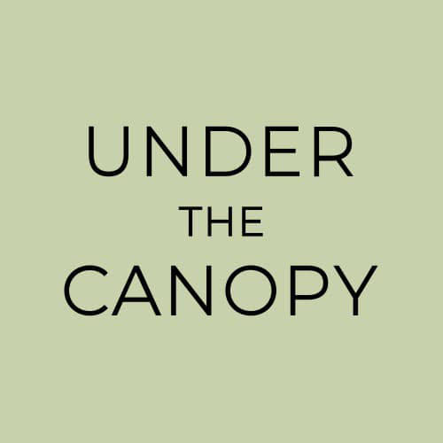 Under the Canopy