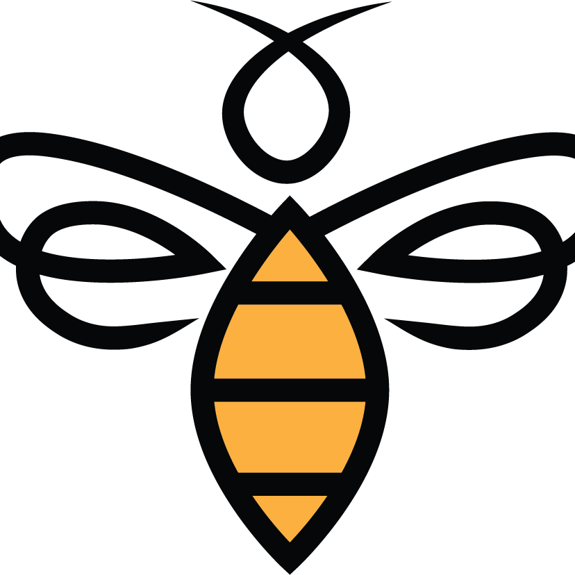 Bee Cave Recovery logo