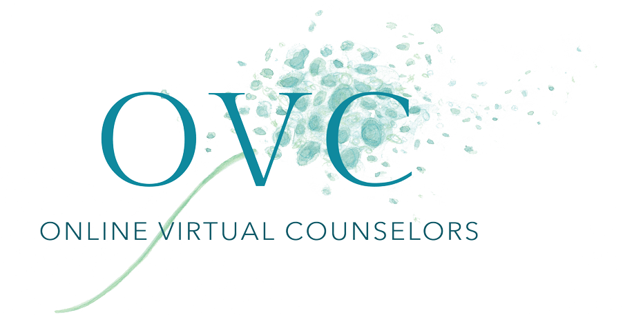 Online Virtual Counselor Zev Berkowitz logo