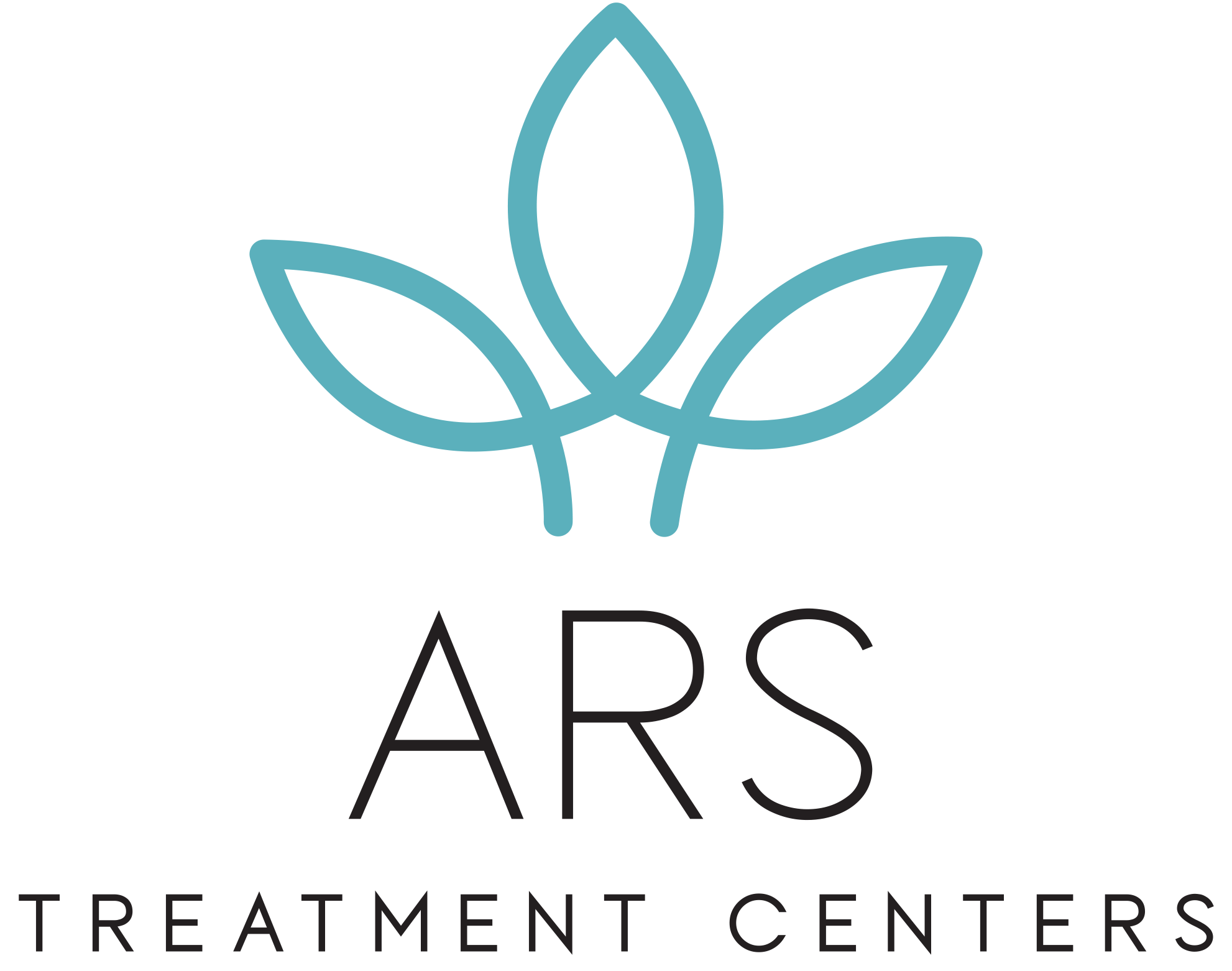 ARS New Castle logo