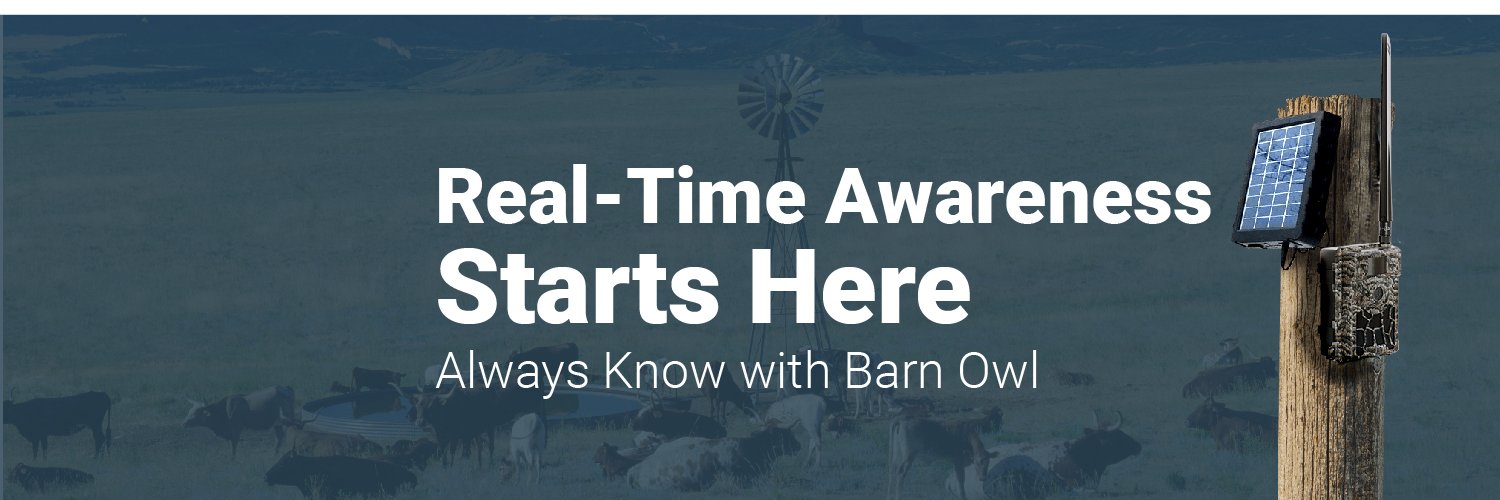 Brandfetch Barn Owl Tech Logos & Brand Assets