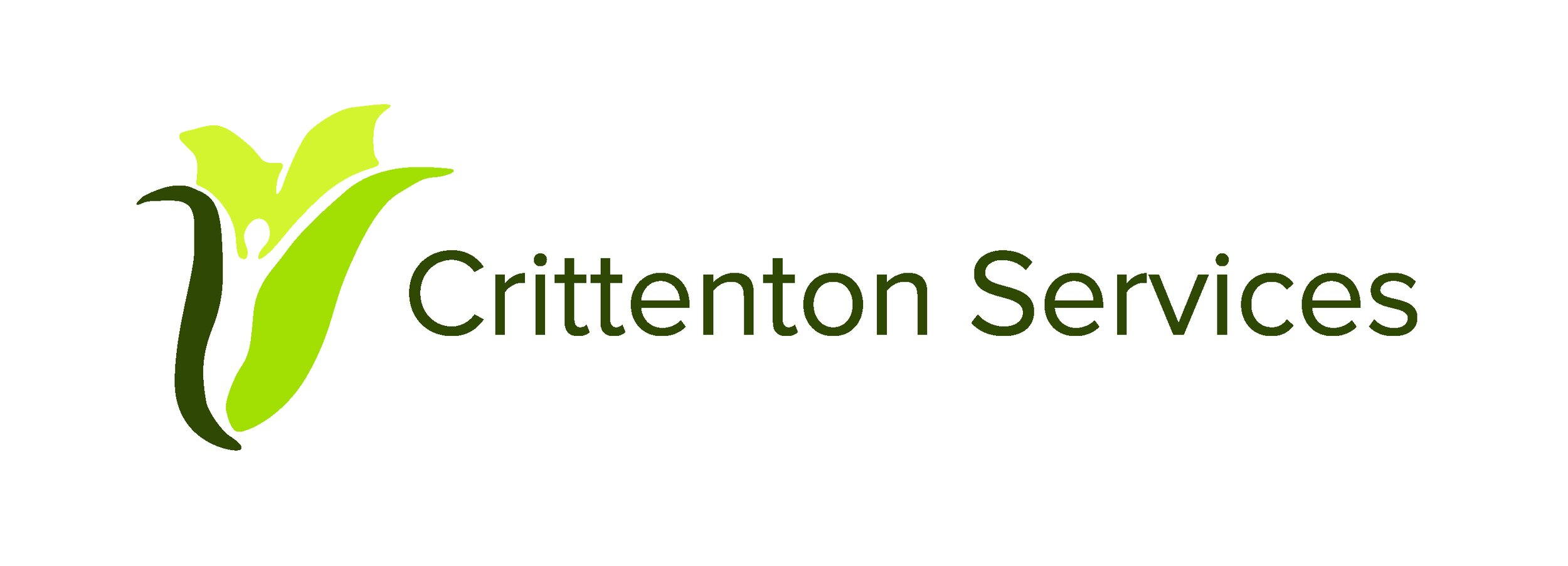 Wellspring Family Services Crittenton Services logo