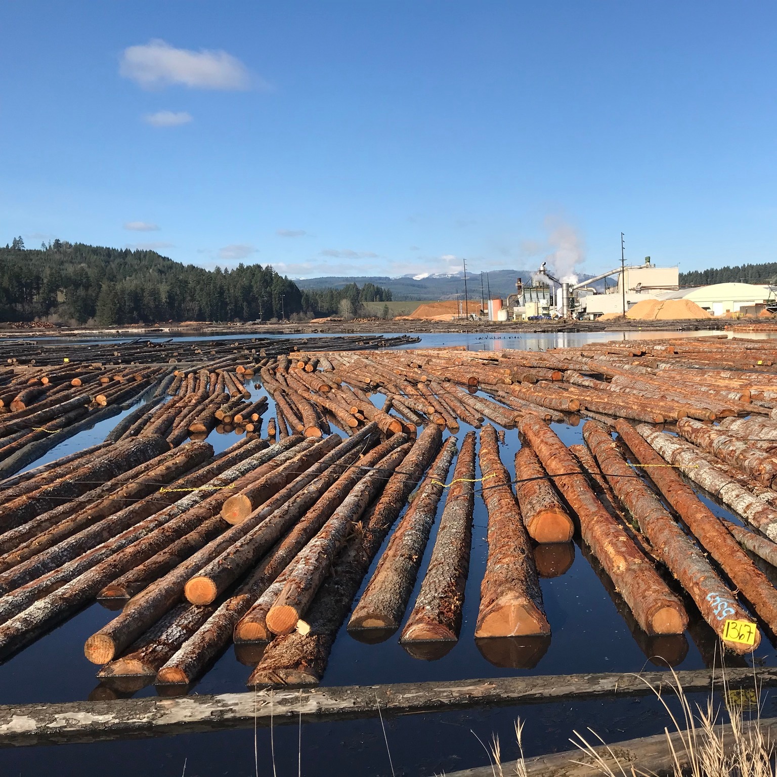 Stimson Lumber Company Logos & Brand Assets Brandfetch