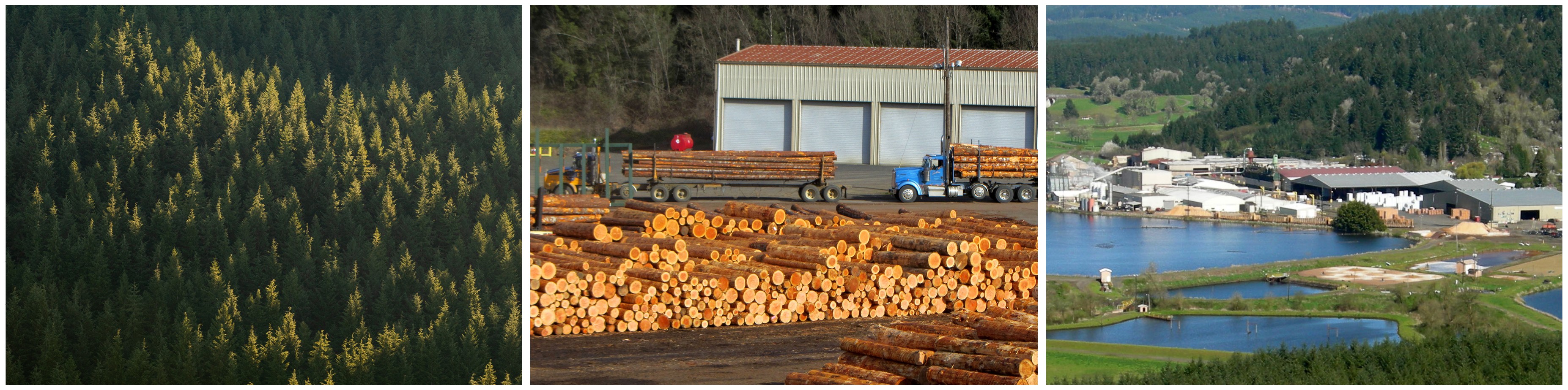 Stimson Lumber Company Logos & Brand Assets Brandfetch