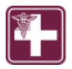 Prime Healthcare Services Saint Michaels logo