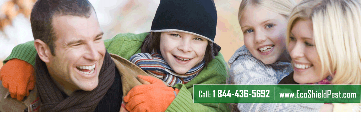 Eco Shield Pest Control Logos & Brand Assets Brandfetch