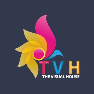 The Visual House's profile picture