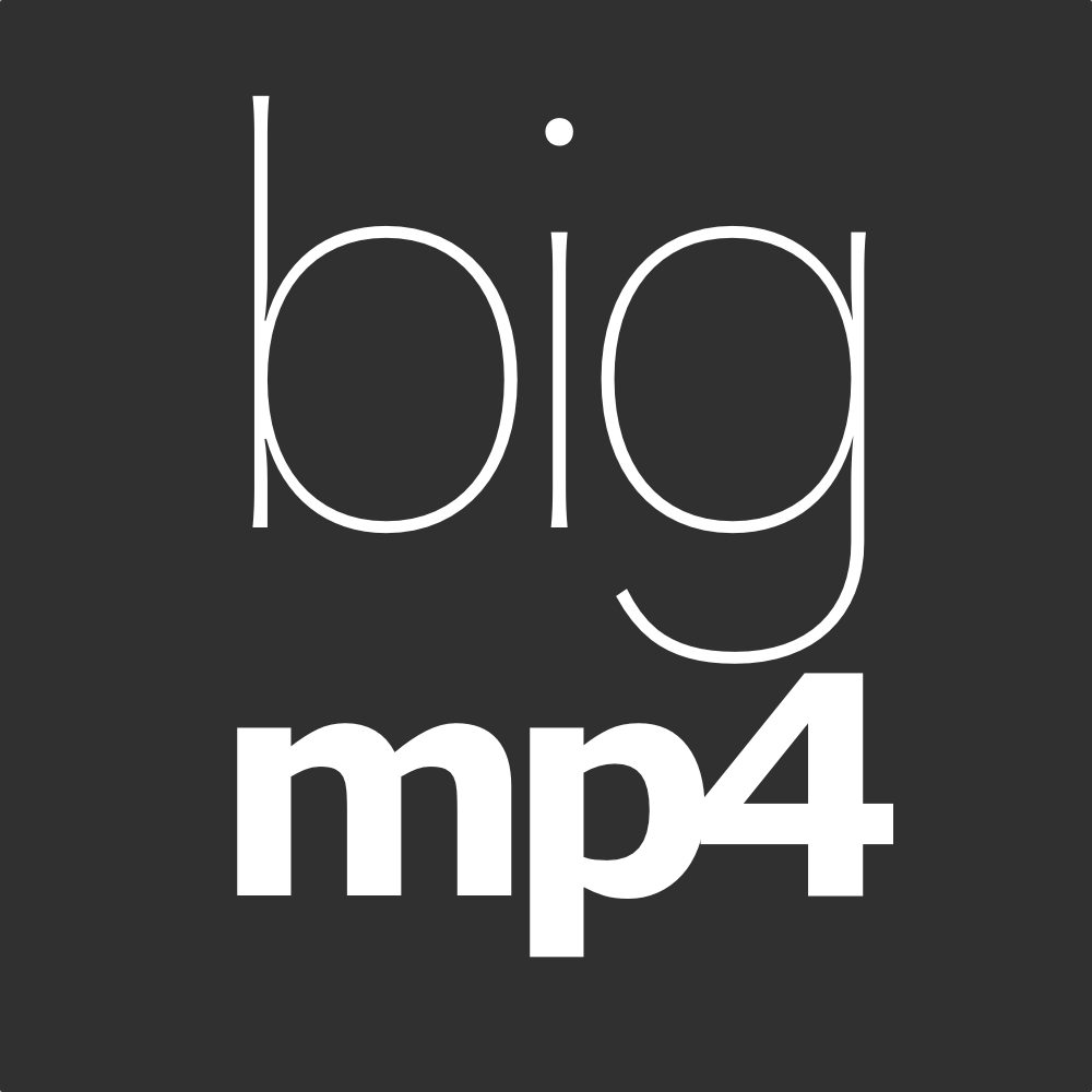 bigmp4 Icon
