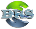 Bowdoin Recovery Services logo