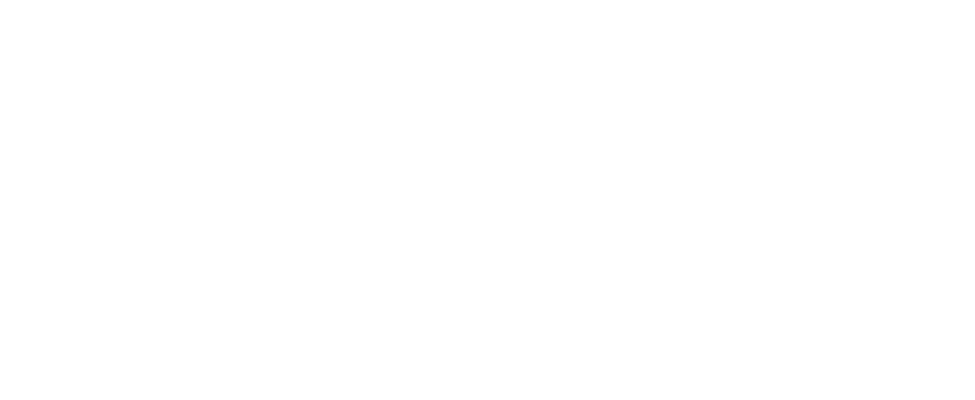 Apostolic Youth and Family Servs logo