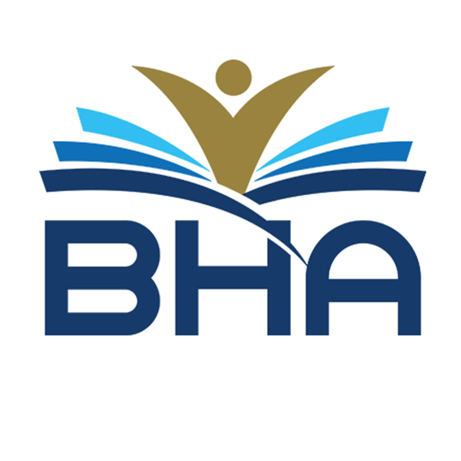 Behavioral Health Associates Partial Partial Hospitalization Prog for Child logo