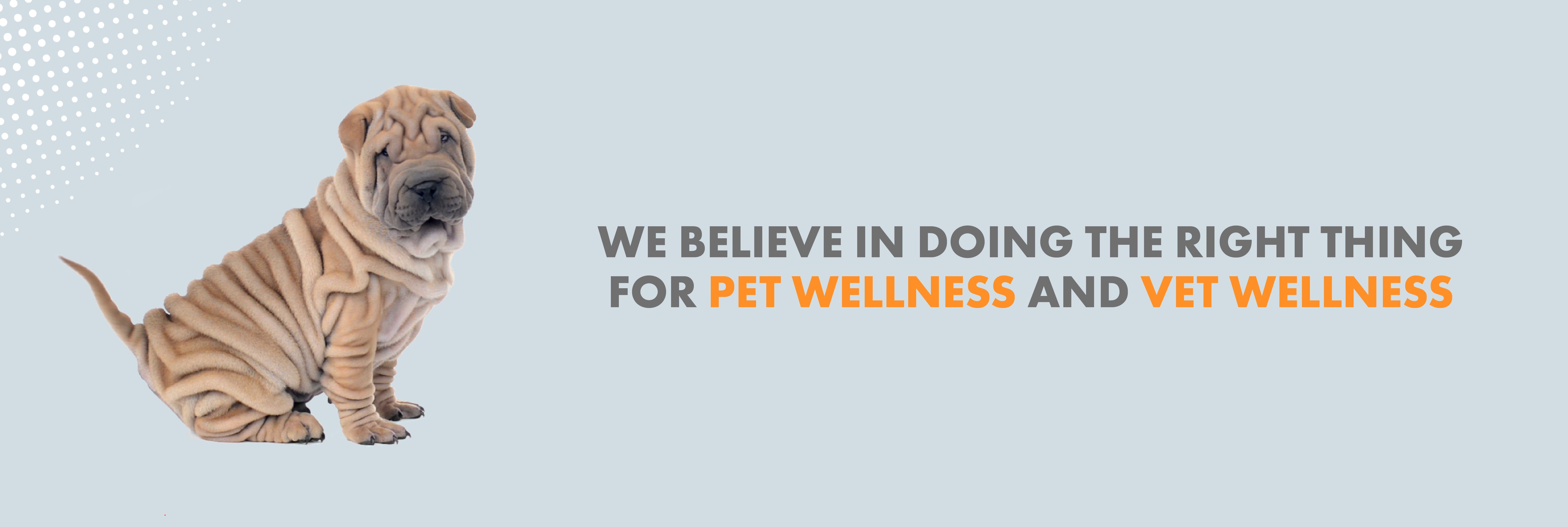 Brandfetch Grey Wolf Animal Health Toronto ON Logos & Brand Assets