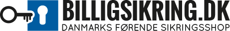 Billigsikring logo
