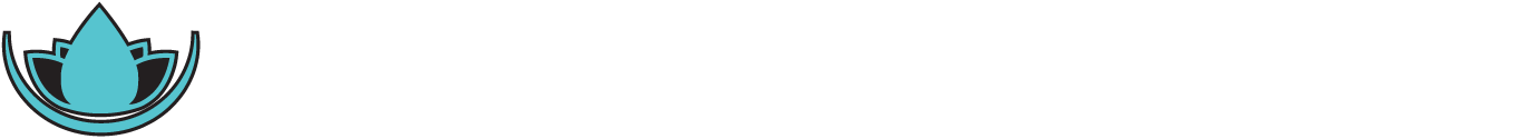 Scottsdale Recovery II logo