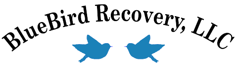 Bluebird Recovery logo