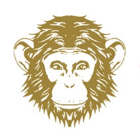 Omneky Icon