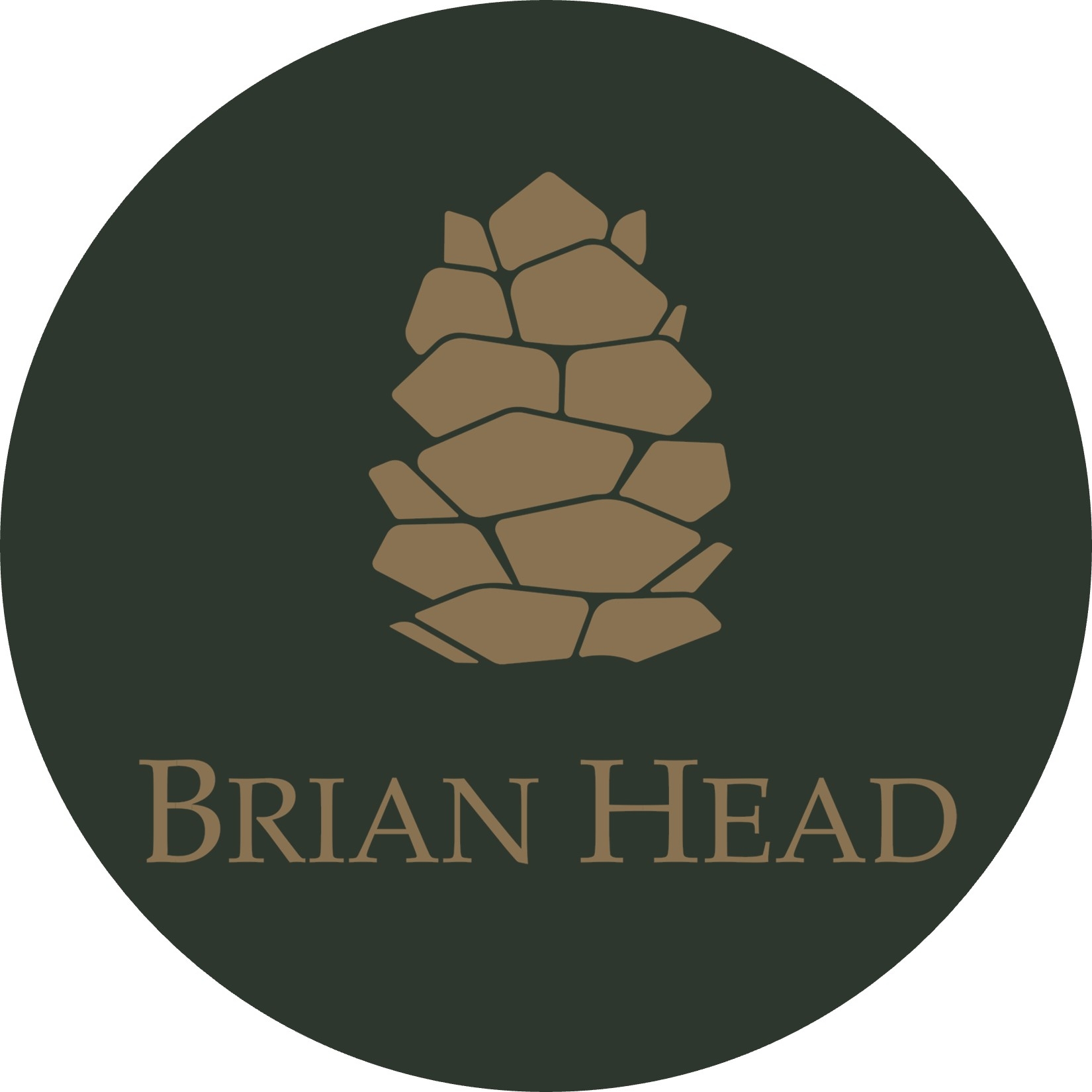Brandfetch | Brian Head Town | Brian Head UT Logos & Brand Assets