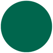 Devereux Service Center Volusia logo