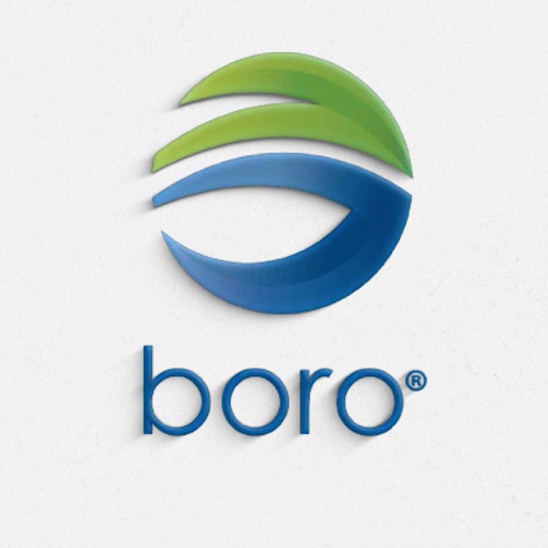 Boro.mx's profile picture