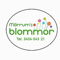 Mörrum's Blommor's icon