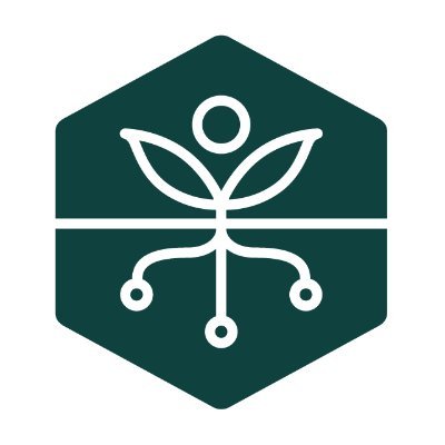 Brandfetch Avalo Logos & Brand Assets