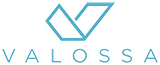 Valoss Icon