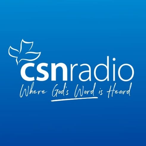 Brandfetch CSN International Twin Falls ID Logos Brand Assets