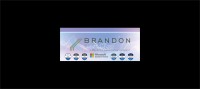 Brandfetch | Brandon Systems Logos & Brand Assets