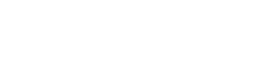 Paradigm Logo