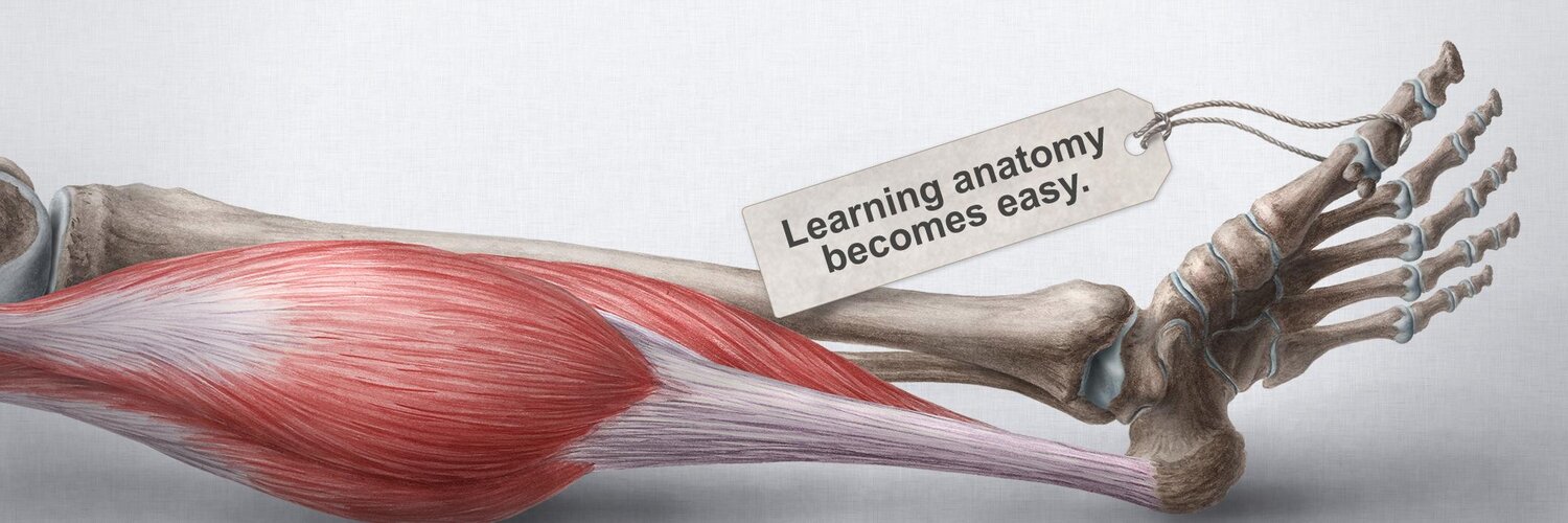 Kenhub Logos Brand Assets Brandfetch