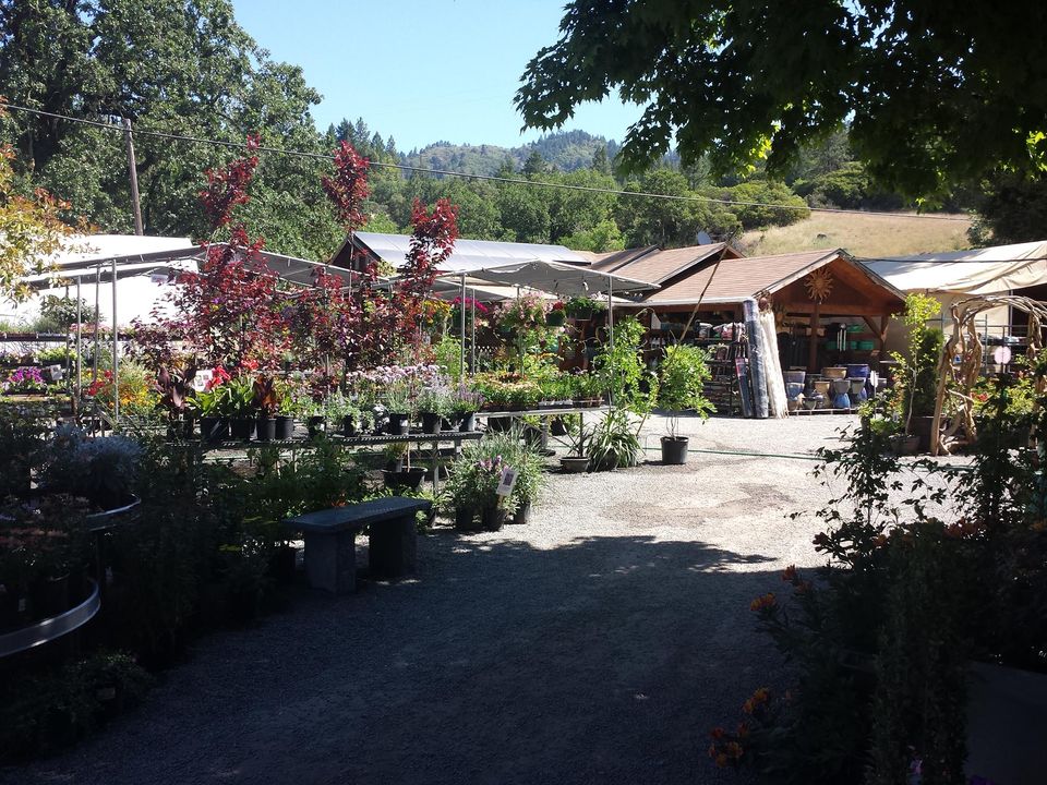 Brandfetch Weathertop Nursery & Building Supply Laytonville CA Logos & Brand Assets