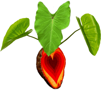 Ohana Makamae logo
