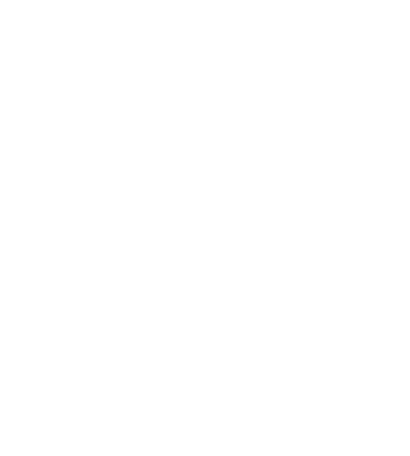 Enzzo Icon