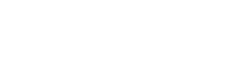 PimEyes Icon