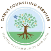Christian Counseling Services logo