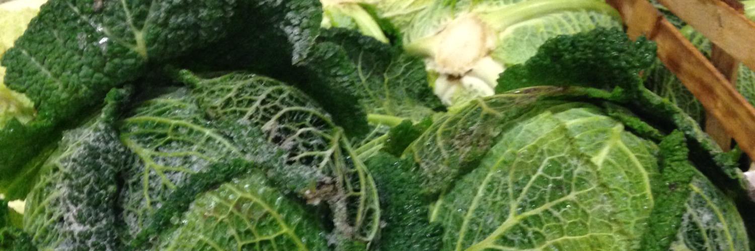 Brandfetch Kent Veg Box Logos & Brand Assets