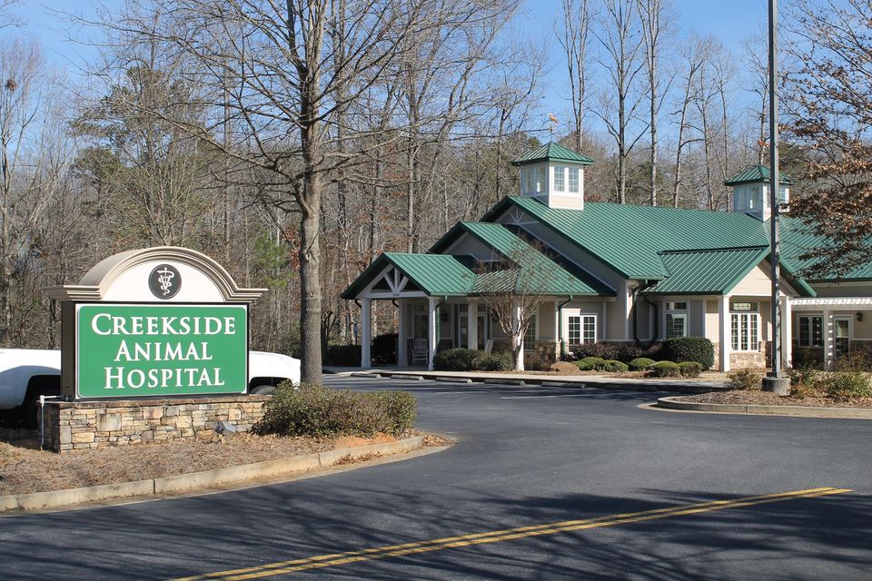 Brandfetch Creekside Animal Hospital Cumming GA Logos & Brand Assets