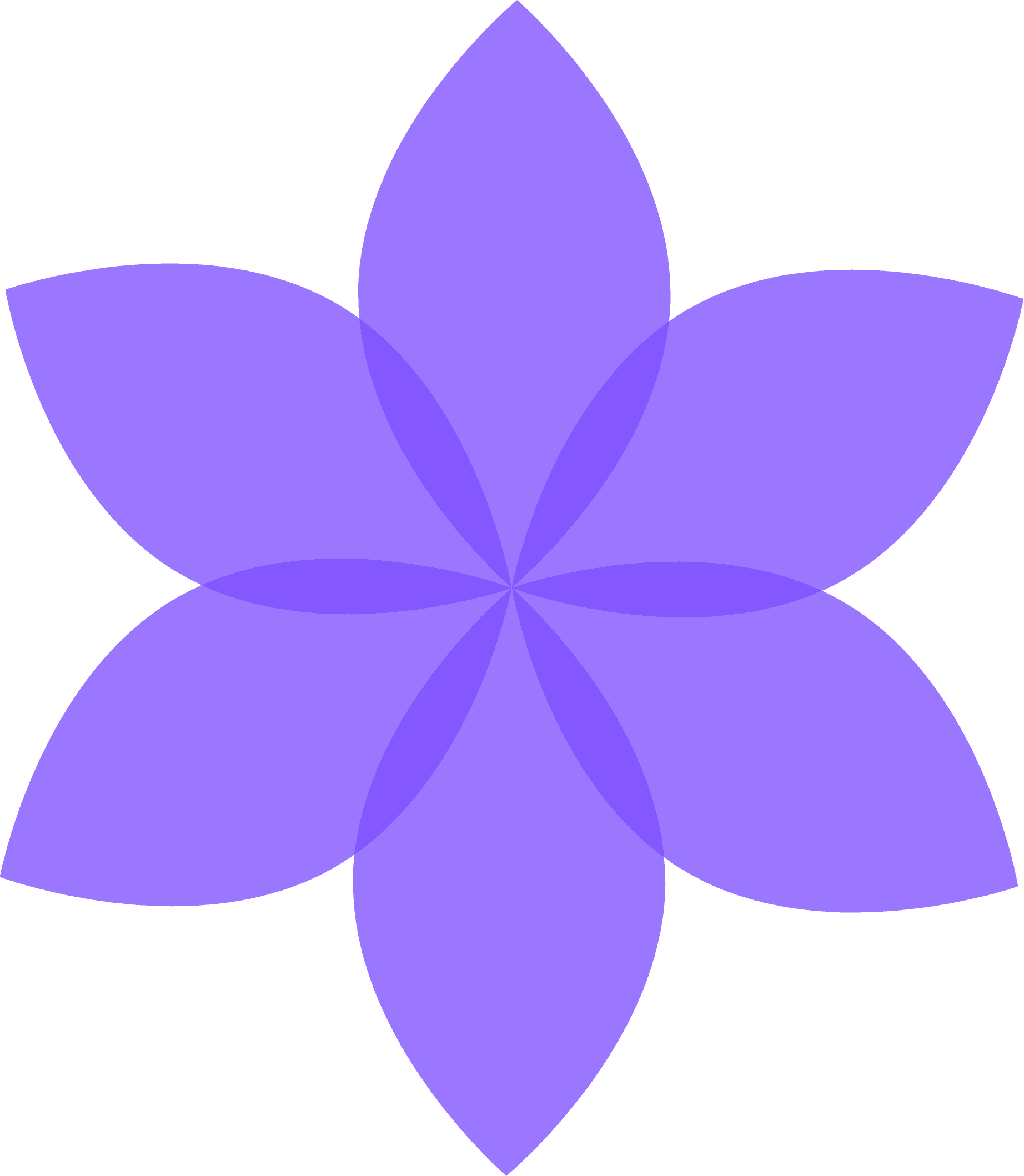 Slice knowledge Icon