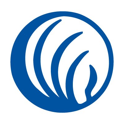 NAMI New Orleans National Alliance on Mental Illness logo