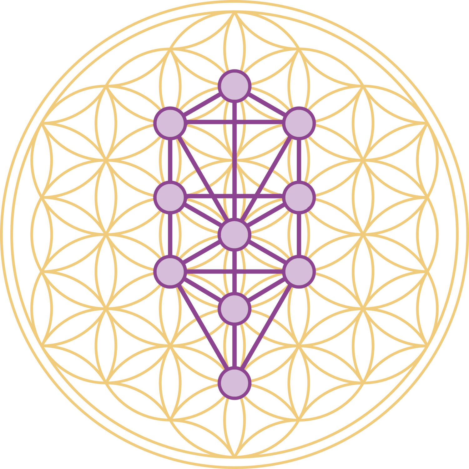 Caritas Treatment and Wellness Center logo
