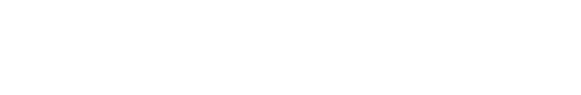 Webdock logo