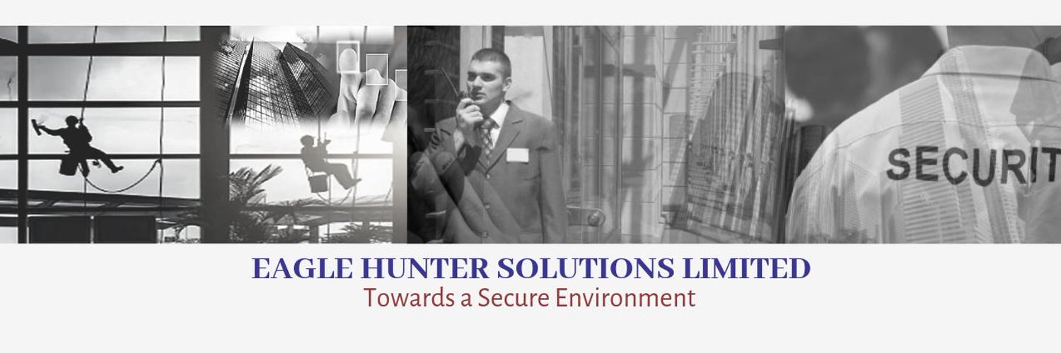Eagle Hunter Solutions Limited Logos & Brand Assets Brandfetch