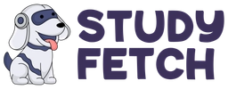Study Fetch Icon