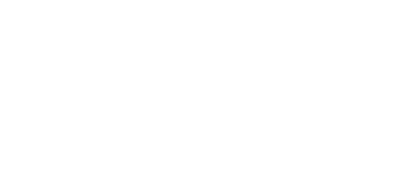 identityiq.com