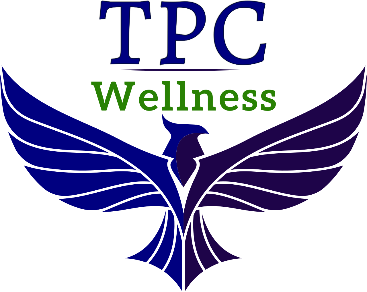 Phoenix Center logo