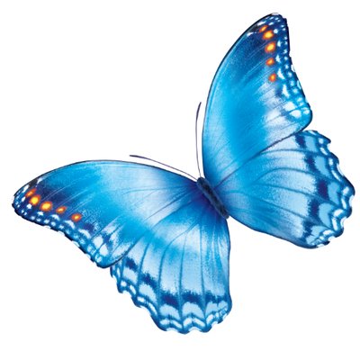 Nationwide Childrens Hospital Behavioral Health logo