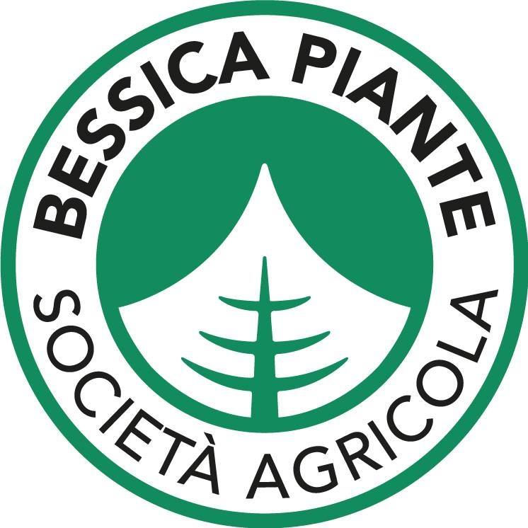 Bessica Piante's profile picture