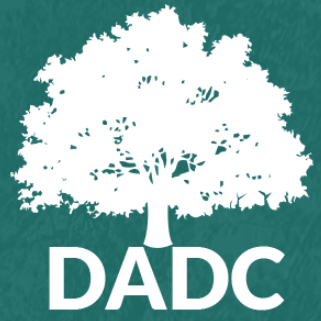 Dorchester County Commission on Alcohol and Drug Abuse logo