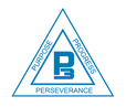 P3 Pursuit logo